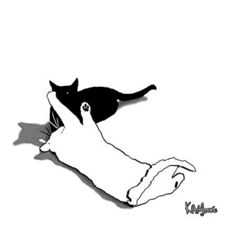 Tekening getiteld "Black and white Cats" door Kev Moore, Origineel Kunstwerk, Anders