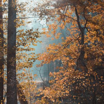 Digitale Kunst getiteld "autumn. morning. fo…" door Kh_yaguar, Origineel Kunstwerk, Digitale fotografie