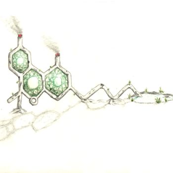 Drawing titled "Cannabis concept" by Khove, Original Artwork, Pencil