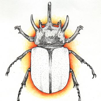 Disegno intitolato "Sunrise Beetle" da Kiki Van Marrewijk, Opera d'arte originale, Altro