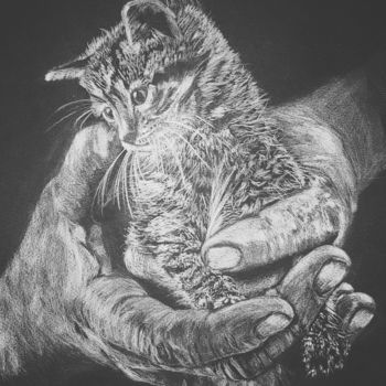 Рисунок под названием ""C'est le chat..."" - Hadhami Petitfils, Подлинное произведение искусства, Карандаш
