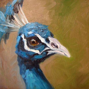 Painting titled "Peacock" by Kim Kibby, Original Artwork, Oil