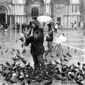 Photographie intitulée "Les pigeons de Veni…" par Christine Pons, Œuvre d'art originale