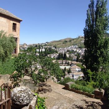 "vue de l alhambra" başlıklı Fotoğraf Christine Pons tarafından, Orijinal sanat
