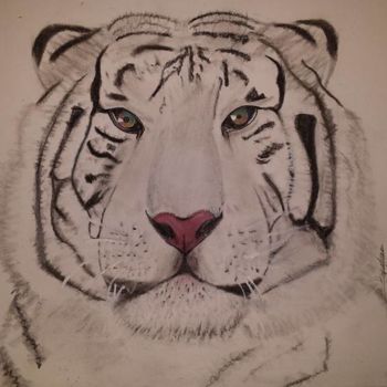Desenho intitulada "Tigre Décoration" por Delphine Kinoxe, Obras de arte originais, Lápis