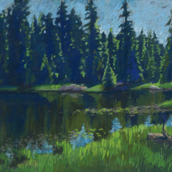 Dessin intitulée "Flowers Lake. Summe…" par Kira Sokolovskaia, Œuvre d'art originale, Pastel