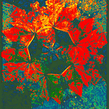 Digitale Kunst getiteld "Arbre Feuille" door Kirlian, Origineel Kunstwerk, Foto Montage