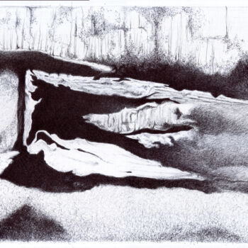Disegno intitolato "Black to White #12" da Kkdzo, Opera d'arte originale, Biro