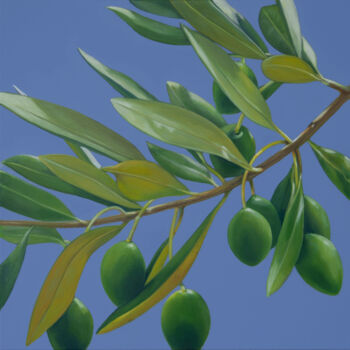 Painting titled "Oliven" by Klaus Keck, Original Artwork, Oil