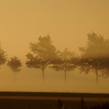 Photography titled "foggy landscape wit…" by Klaus Vartzbed, Original Artwork