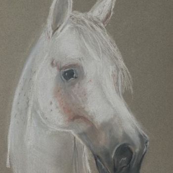 Drawing titled "Horse" by Klazien De Vries, Original Artwork