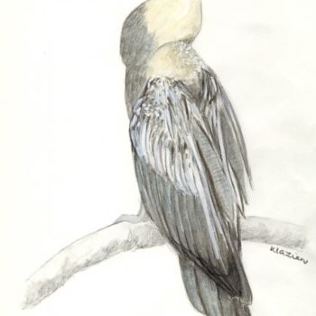 Drawing titled "Snakebird" by Klazien De Vries, Original Artwork
