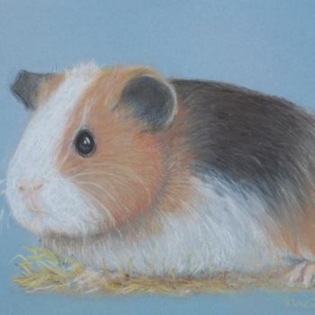 Рисунок под названием "Guinea Pig" - Klazien De Vries, Подлинное произведение искусства