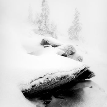 Photography titled "Winter Sketch #2" by Dmitriy Kochergin, Original Artwork, Digital Photography