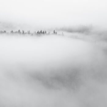 Fotografie getiteld "Foggy Morning" door Dmitriy Kochergin, Origineel Kunstwerk, Digitale fotografie