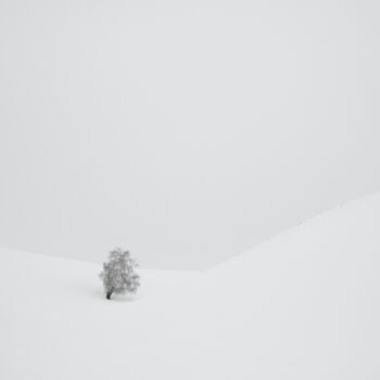 Fotografie mit dem Titel "Frozen Dunes #3" von Dmitriy Kochergin, Original-Kunstwerk, Digitale Fotografie
