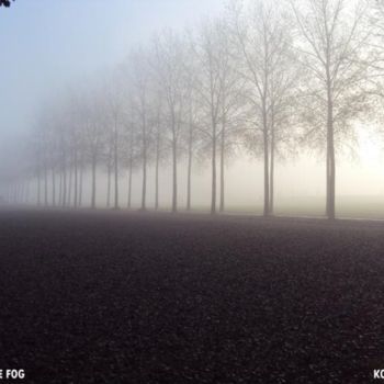 「TREES IN THE FOG」というタイトルの写真撮影 Koen Vlerickによって, オリジナルのアートワーク