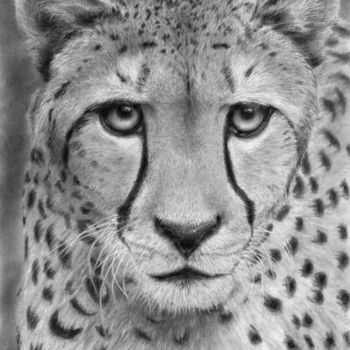Dessin intitulée "122-hypnotic-cheeta…" par Kofkof, Œuvre d'art originale