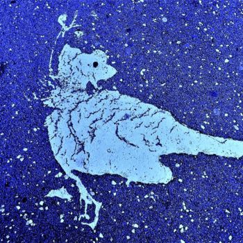 Photographie intitulée "BLUE BIRD" par Kogan, Œuvre d'art originale