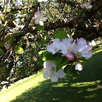 Photographie intitulée "Merci au printemps" par Koki, Œuvre d'art originale