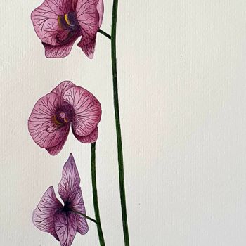 Peinture intitulée "orquídea violeta" par Irene Pestana Eliche, Œuvre d'art originale, Aquarelle