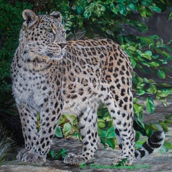 Painting titled "Amur Leopard" by Viktoriya Kolomiychuk, Original Artwork, Oil