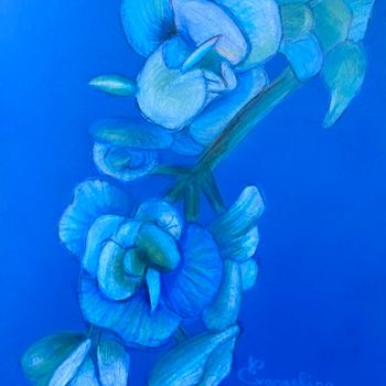 Рисунок под названием "Enigmatic Blue Orch…" - Evangelina, Подлинное произведение искусства, Карандаш