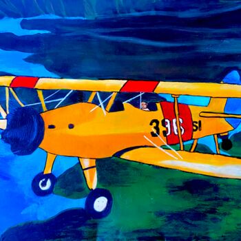 Painting titled "Biplan Boeing Stear…" by Evangelina, Original Artwork, Oil