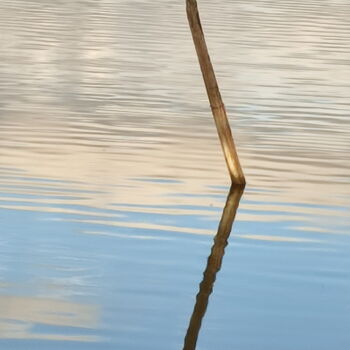 Photographie intitulée "Reflet dans l'eau.…" par Kook, Œuvre d'art originale, Photographie numérique