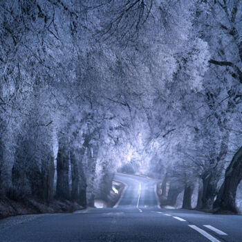 Photographie intitulée "Winter road" par Marek Kopnicky, Œuvre d'art originale, Photographie numérique