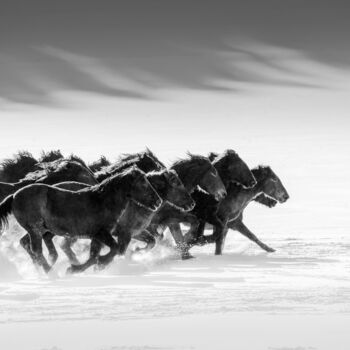 Fotografie getiteld "Winter gallop No.5" door Marek Kopnicky, Origineel Kunstwerk, Digitale fotografie