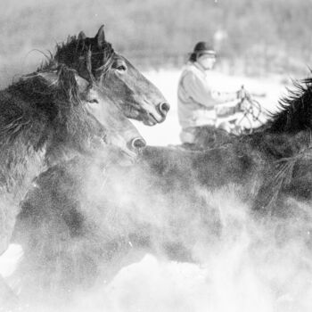 Photography titled "Winter gallop No.6" by Marek Kopnicky, Original Artwork, Digital Photography