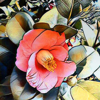 Fotografie mit dem Titel "Japanese Camellia" von Korshum, Original-Kunstwerk