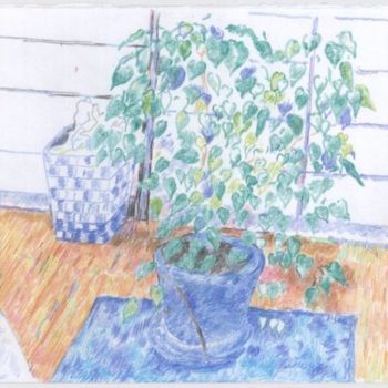 Drawing titled "plant" by Petar Kosic, Original Artwork, Other