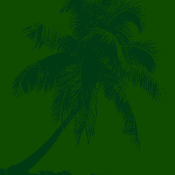 Pittura intitolato "Palm tree_3" da Kosta Morr, Opera d'arte originale, Acrilico Montato su Telaio per barella in legno