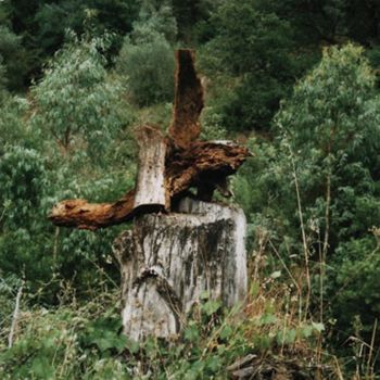 Ζωγραφική με τίτλο "Pajaro Genal" από Kardo Kosta, Αυθεντικά έργα τέχνης, Λάδι