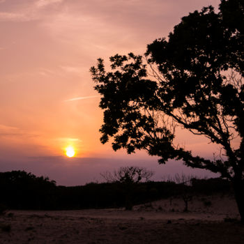 摄影 标题为“Sunset with tree si…” 由Wouter Kouwenberg, 原创艺术品