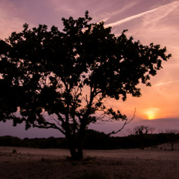 Fotografía titulada "Sunset with tree si…" por Wouter Kouwenberg, Obra de arte original
