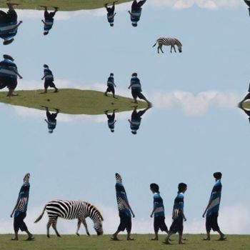 Цифровое искусство под названием "Zebra Incognitus" - Kravitz, Подлинное произведение искусства, Другой