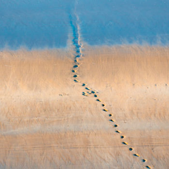 Fotografia intitulada "la longue route" por Krawa, Obras de arte originais, Fotografia Não Manipulada