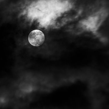 "Moon over Marin" başlıklı Fotoğraf Krawa tarafından, Orijinal sanat, Fotoşopsuz fotoğraf