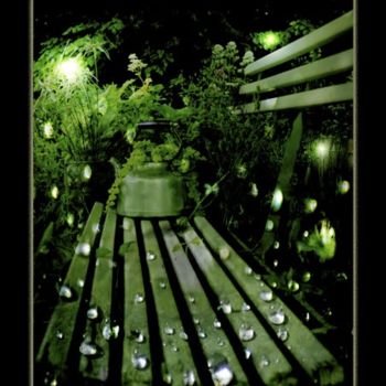 Arts numériques intitulée "Jardin Nocturne" par Kristel Genet, Œuvre d'art originale, Photo montage