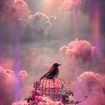 Digital Arts titled "Bird in a cage on a…" by Kristi Bell, Original Artwork, Photo Montage