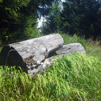Фотография под названием "Forgotten stump" - Kristian Serbak, Подлинное произведение искусства, Цифровая фотография