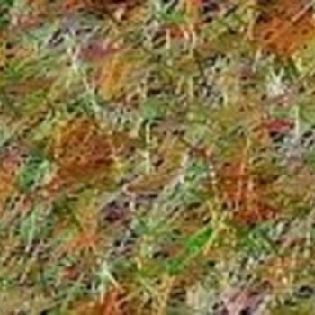 Digital Arts titled "Grass and straw" by Kristina Maskarin, Original Artwork