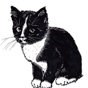 Dessin intitulée "Mon chaton, "blacki…" par Krughoff, Œuvre d'art originale, Stylo à bille