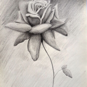 Disegno intitolato "Rose" da Krystian, Opera d'arte originale, Matita