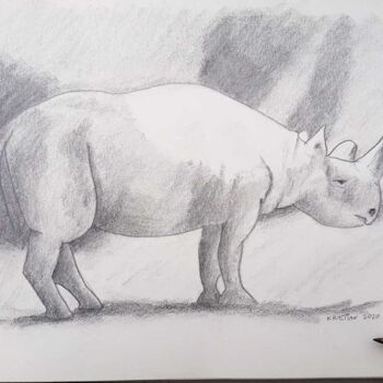Drawing titled "Rhinoceros" by Krystian, Original Artwork, Pencil