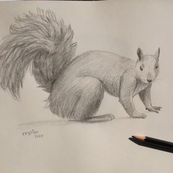 Dibujo titulada "squirrel" por Krystian, Obra de arte original, Grafito