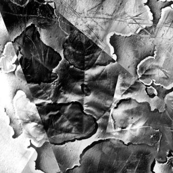 Photographie intitulée "Leaf III." par Krystof Suchy, Œuvre d'art originale